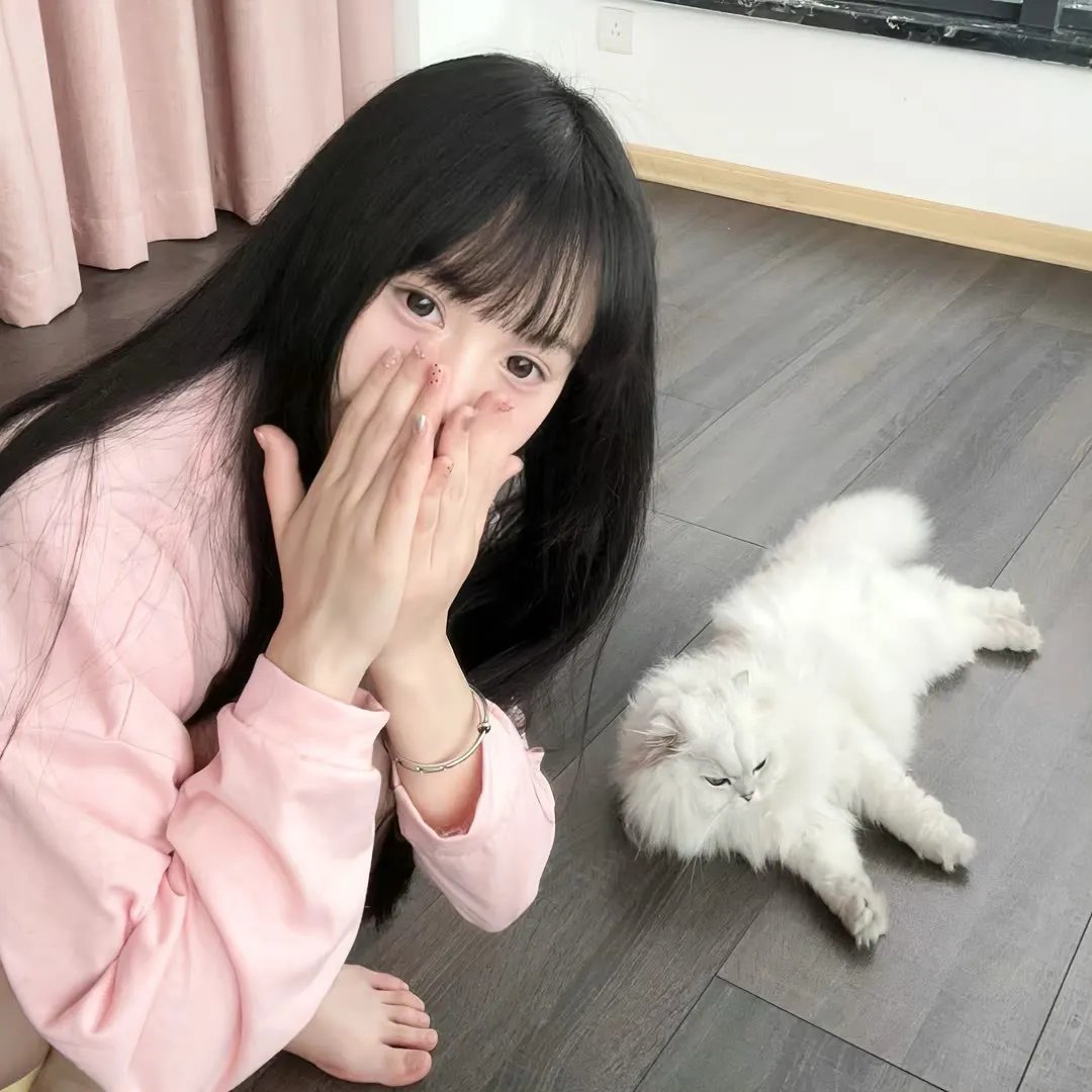 无法无天飞车党
